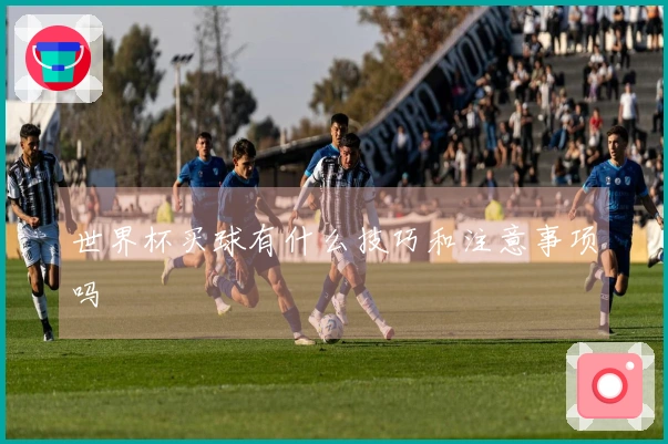 世界杯买球有什么技巧和注意事项吗