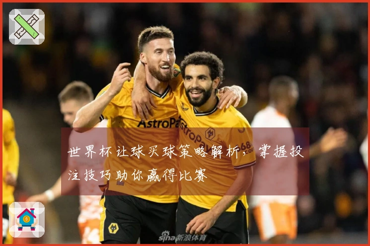 世界杯让球买球策略解析，掌握投注技巧助你赢得比赛