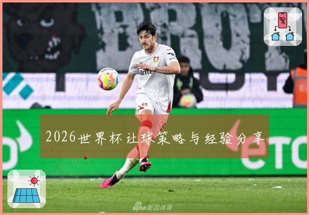 2026世界杯让球策略与经验分享
