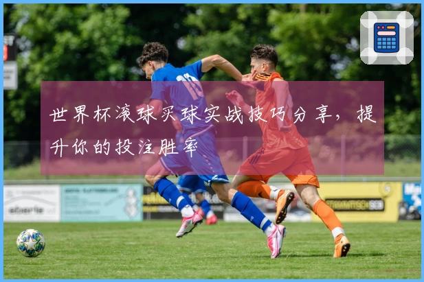 世界杯滚球买球实战技巧分享，提升你的投注胜率