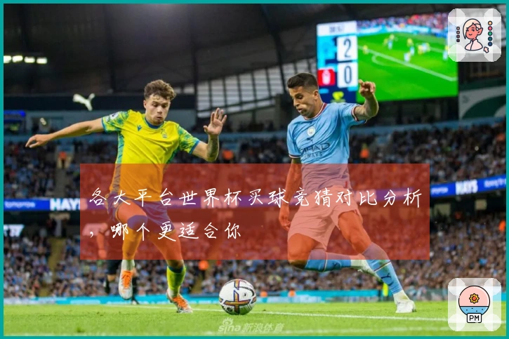 各大平台世界杯买球竞猜对比分析，哪个更适合你